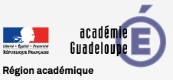 Logo AC Guadeloupe 2c911